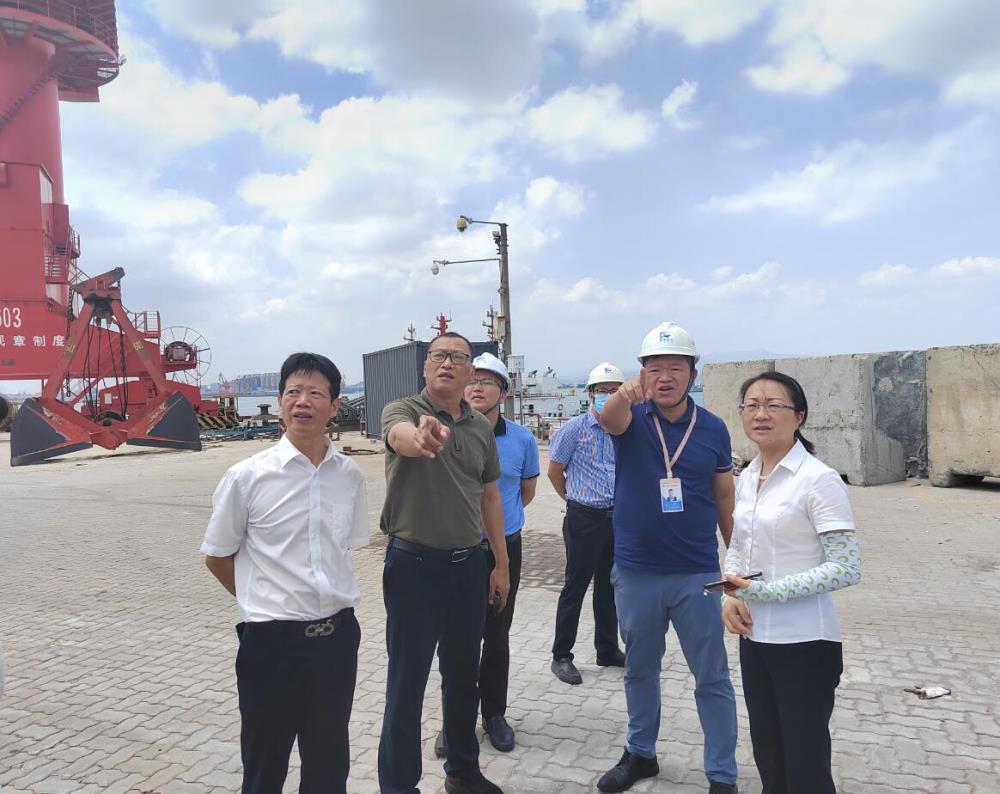 周敏調研秀嶼港口.jpg