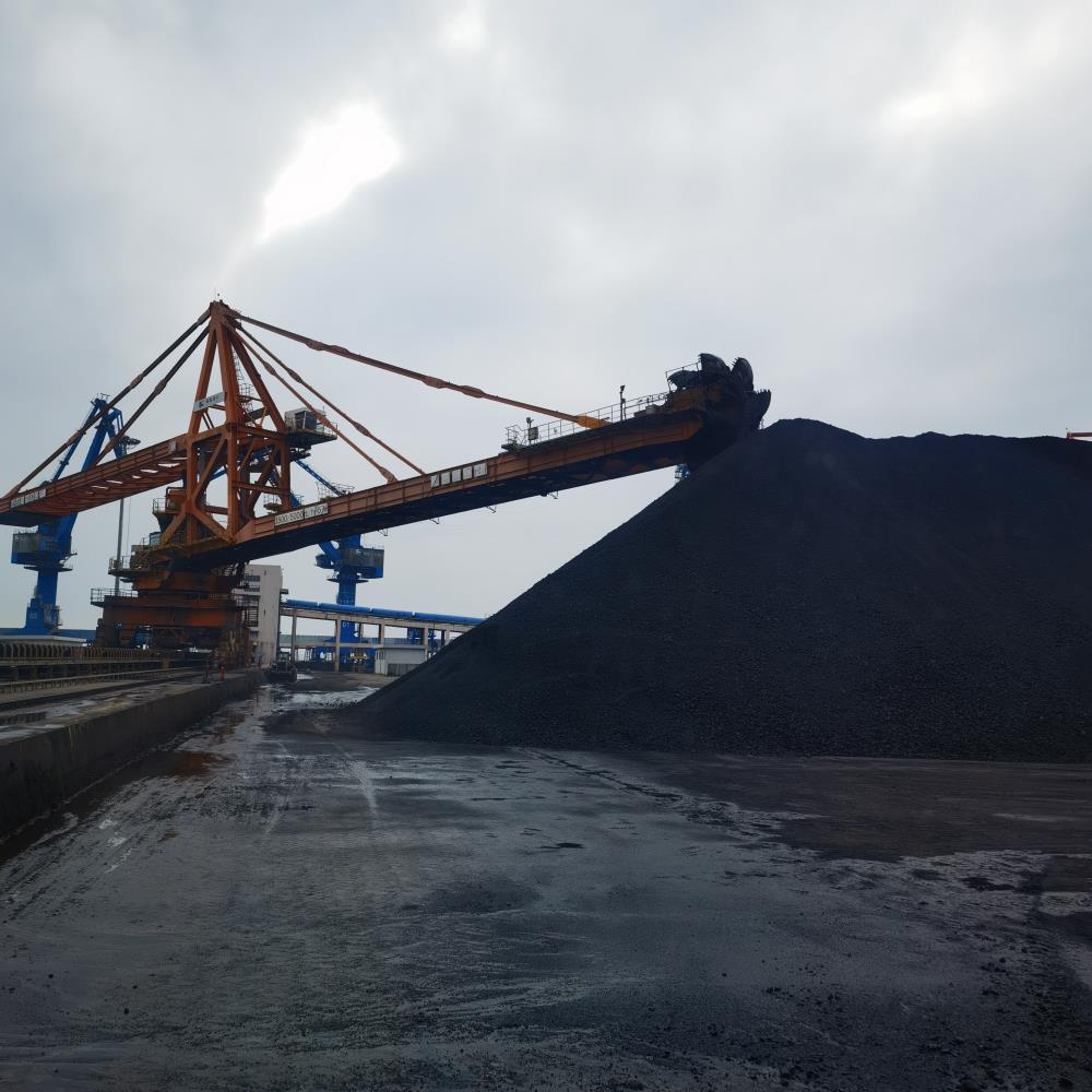 mmexport1675236816177.jpg mmexport1675236816177.jpg