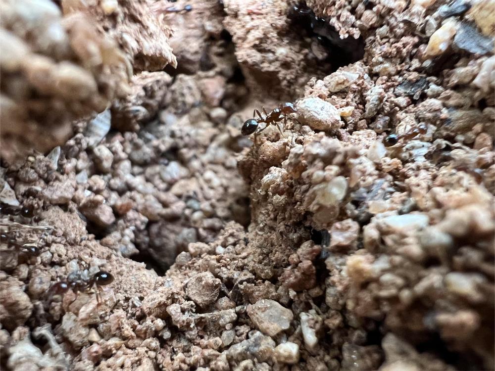 微信圖片_20230524104527.jpg 微信圖片_20230524104527.jpg