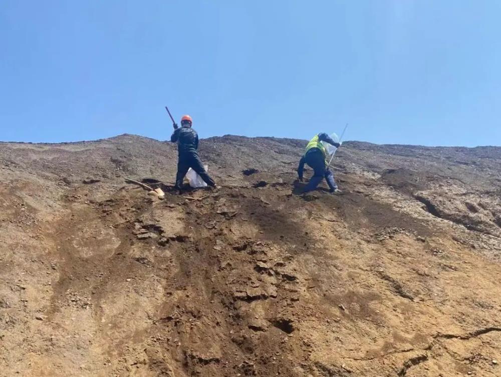 微信圖片_20240813171532.jpg 微信圖片_20240813171532.jpg